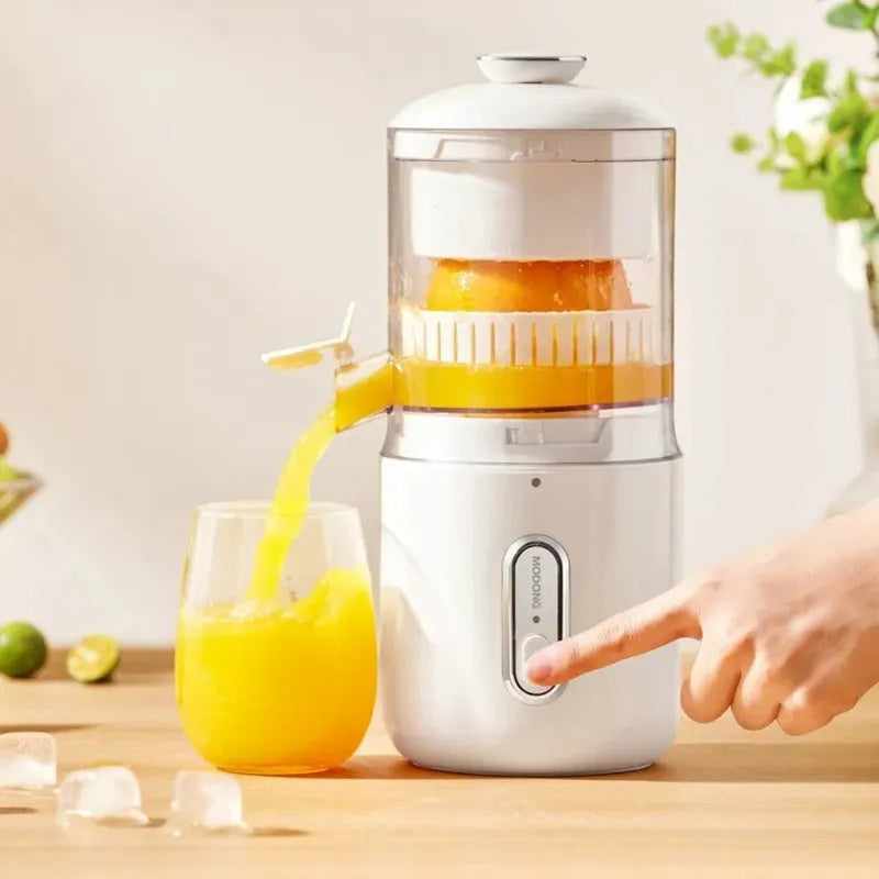 Mini Fruit Squeezer Pressure Juicer